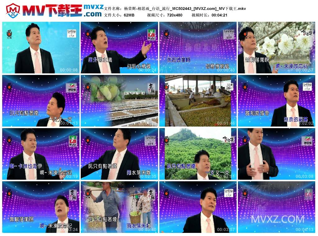 杨荣辉-相思雨_台语_流行_MC502443